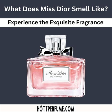 miss dior oil|what does miss dior perfume smell like.